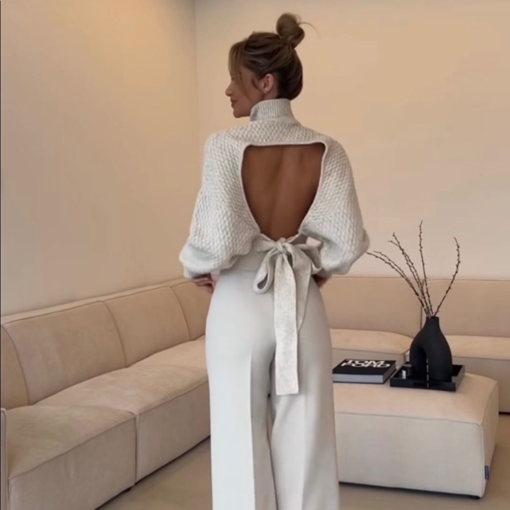 NWT Viral Zara Open Back Sweater